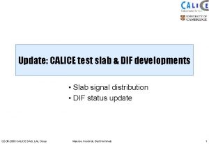 Update CALICE test slab DIF developments Slab signal
