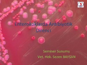 Enterokoklarda Antibiyotik Direnci Seminer Sunumu Vet Hek Sezen