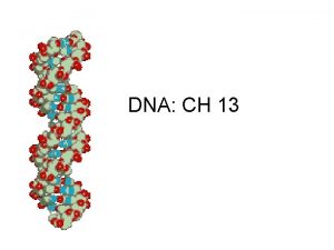 DNA CH 13 Macromolecule Review Nucleic acid Monomer