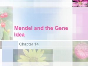 Mendel and the Gene Idea Chapter 14 Gregor