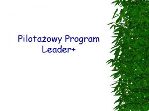 Pilotaowy Program Leader Cel wsparcia Stymulowanie lokalnych inicjatyw