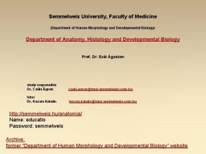 Semmelweis University Faculty of Medicine Department of Human