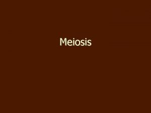 Meiosis What is Meiosis The process that produces