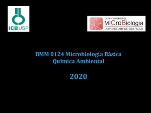 BMM 0124 Microbiologia Bsica Qumica Ambiental 2020 Professores