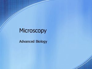 Microscopy Advanced Biology Anton van Leeuwenhoek Dutch tradesman