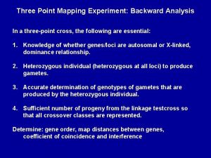 Three Point Mapping Experiment Backward Analysis In a