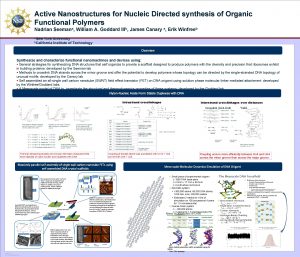 Active Nanostructures for Nucleic Directed synthesis of Organic