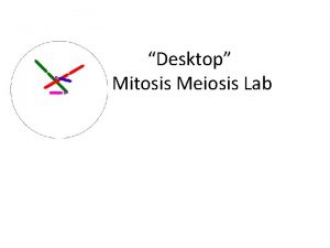 Desktop Mitosis Meiosis Lab http www youtube comwatch