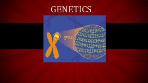 GENETICS WARM UP How are traits passed down