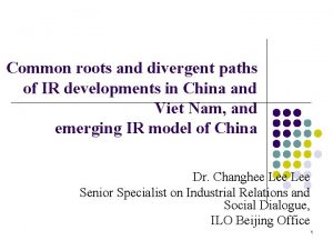 Common roots and divergent paths of IR developments