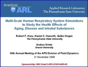 ARL Penn State MultiScale Human Respiratory System Simulations