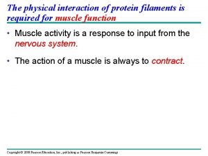 The physical interaction of protein filaments is required