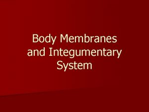 Body Membranes and Integumentary System n Body Membranes