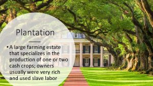 Plantation A large farming estate that specializes in