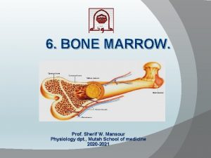 6 BONE MARROW Prof Sherif W Mansour Physiology