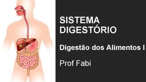 SISTEMA DIGESTRIO Digesto dos Alimentos I Prof Fabi