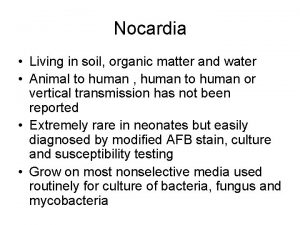 Nocardia Living in soil organic matter and water