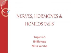 NERVES HORMONES HOMEOSTASIS Topic 6 5 IB Biology