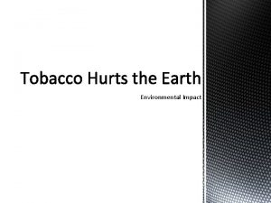 Environmental Impact Anatomy of a Cigarette Dangers of