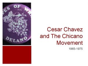 Cesar Chavez and The Chicano Movement 1965 1975