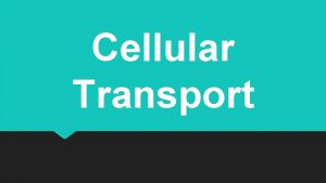 Cellular Transport Active and Passive Transport It is