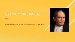 SYDNEY BRENNER 1927 Molecular Biology Model Organisms and