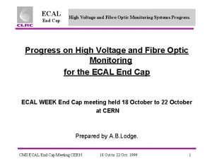 ECAL End Cap High Voltage and Fibre Optic