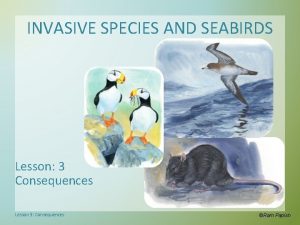 INVASIVE SPECIES AND SEABIRDS Lesson 3 Consequences Lesson
