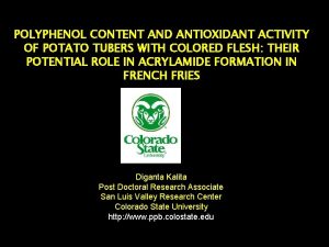 POLYPHENOL CONTENT AND ANTIOXIDANT ACTIVITY OF POTATO TUBERS