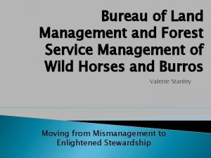 Bureau of Land Management and Forest Service Management