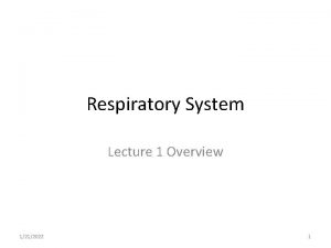 Respiratory System Lecture 1 Overview 1212022 1 Anatomy