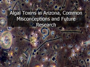 Algal Toxins in Arizona Common Misconceptions and Future