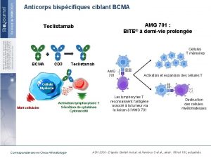 Anticorps bispcifiques ciblant BCMA AMG 701 Bi TE