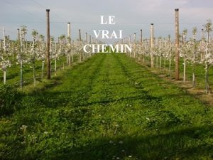 LE VRAI CHEMIN Un jour lne dun fermier