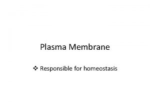 Plasma Membrane v Responsible for homeostasis Plasma membrane