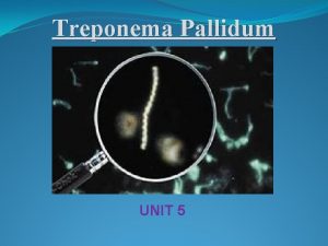 Treponema Pallidum UNIT 5 Contents v History v