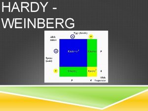 HARDY WEINBERG WHAT IS HARDYWEINBERG HardyWeinberg says that