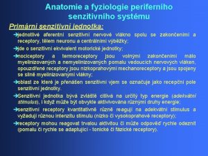 Anatomie a fyziologie perifernho senzitivnho systmu Primrn senzitivn