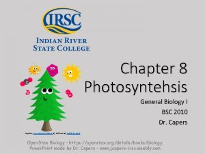 Chapter 8 Photosyntehsis General Biology I BSC 2010