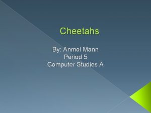 Cheetahs By Anmol Mann Period 5 Computer Studies