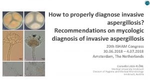 How to properly diagnose invasive aspergillosis Recommendations on