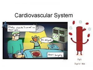 Cardiovascular System Tainted Love Systemic Circulation delivers blood