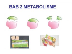 BAB 2 METABOLISME Bab 2 Metabolisme Protein yang