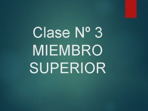 Clase N 3 MIEMBRO SUPERIOR MIEMBRO SUPERIOR El