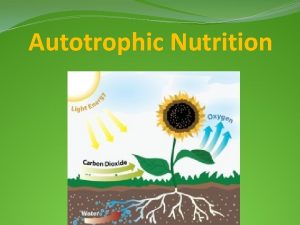 Autotrophic Nutrition All Organisms Need Energy All organisms