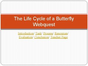 The Life Cycle of a Butterfly Webquest Introduction