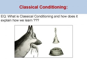 Classical Conditioning EQ What is Classical Conditioning and