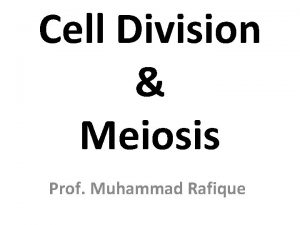 Cell Division Meiosis Prof Muhammad Rafique Types Of