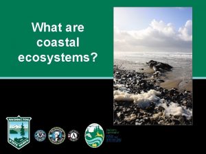 What are coastal ecosystems What are coastal ecosystems
