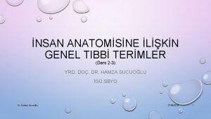 NSAN ANATOMSNE LKN GENEL TIBB TERMLER Ders 2